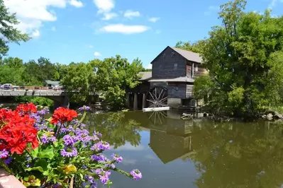 spring flowers at The Old Mill Square in Pigeon Forge