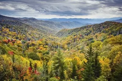 Fall colors covering the Smoky Mountains