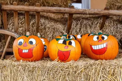 pumpkins with painted faces 