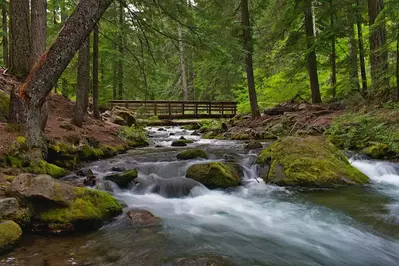 Calming Creek