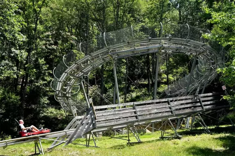 mountain coaster