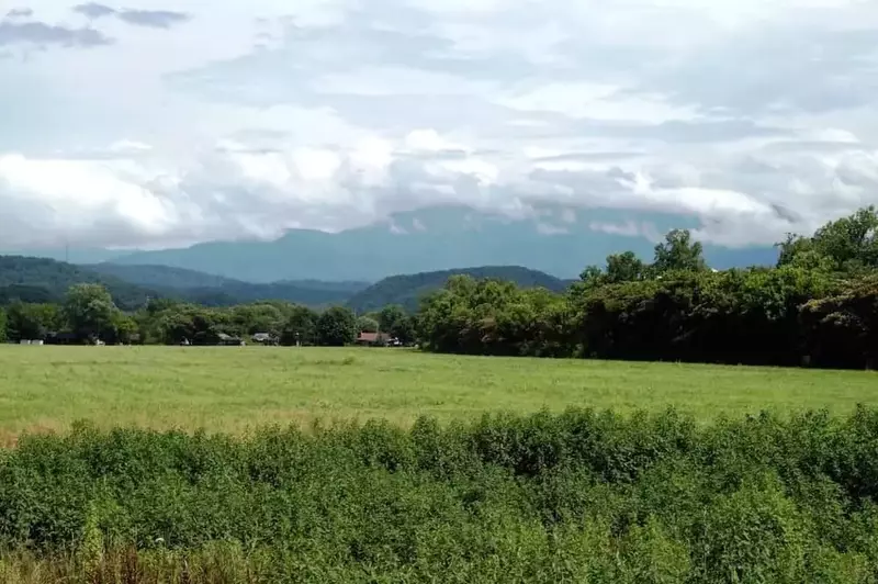 A scenic photo of a meadow and the mountains in Pigeon Forge Tennessee.
