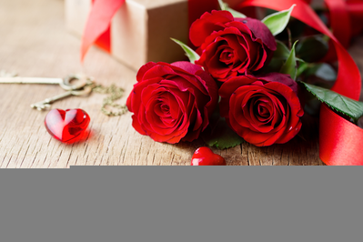 Roses and hearts for Valentine's Day at our Smoky Mountain condos.