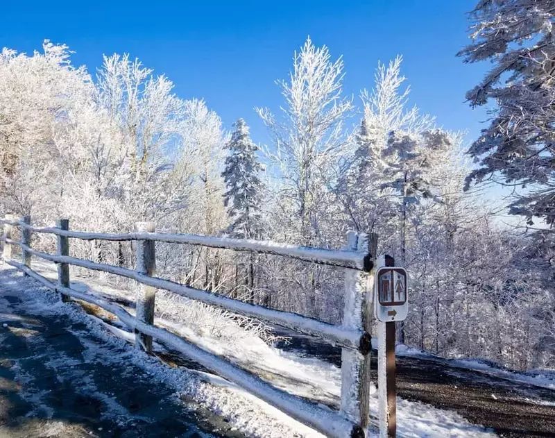Snow covering a fence in the Smokies