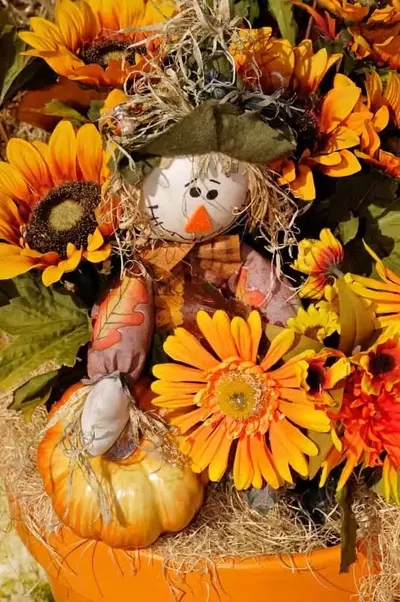 Fall scarecrow decoration