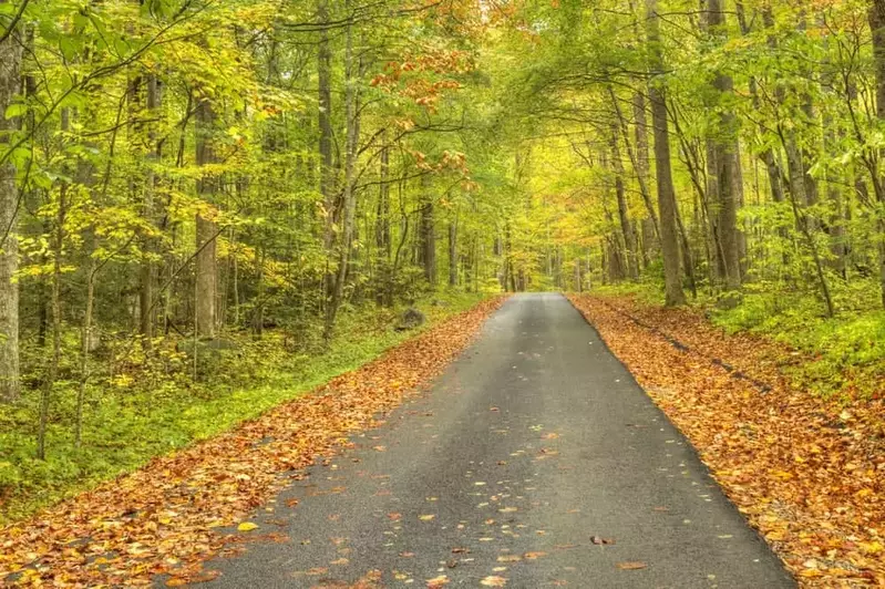 Road through the Smoky Mountains