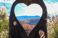 fall festivals in the smoky mountains