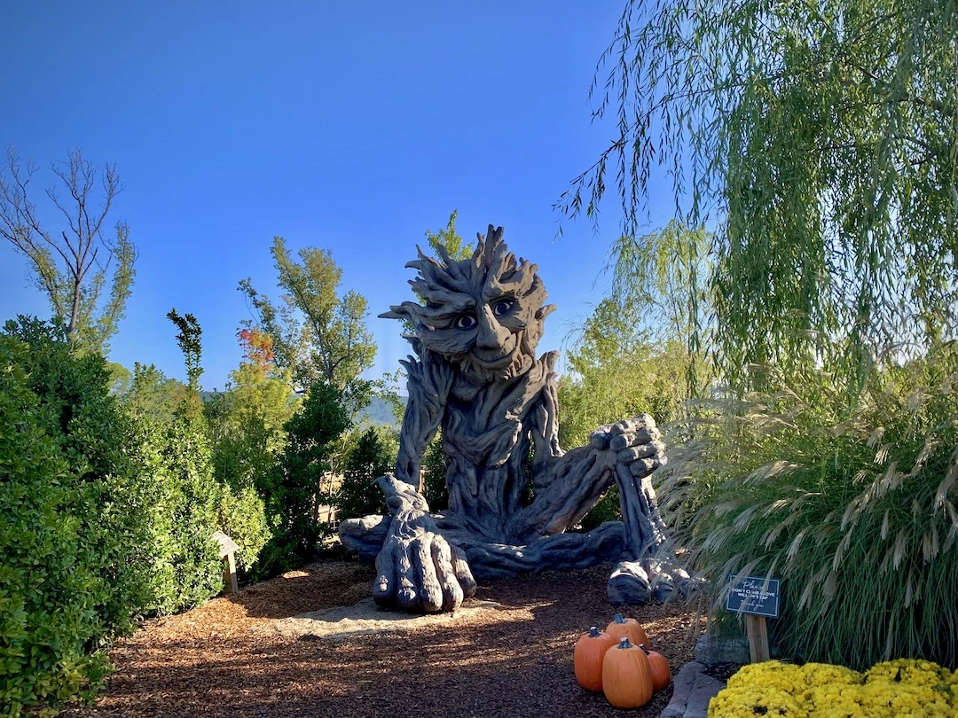 fall at Anakeesta